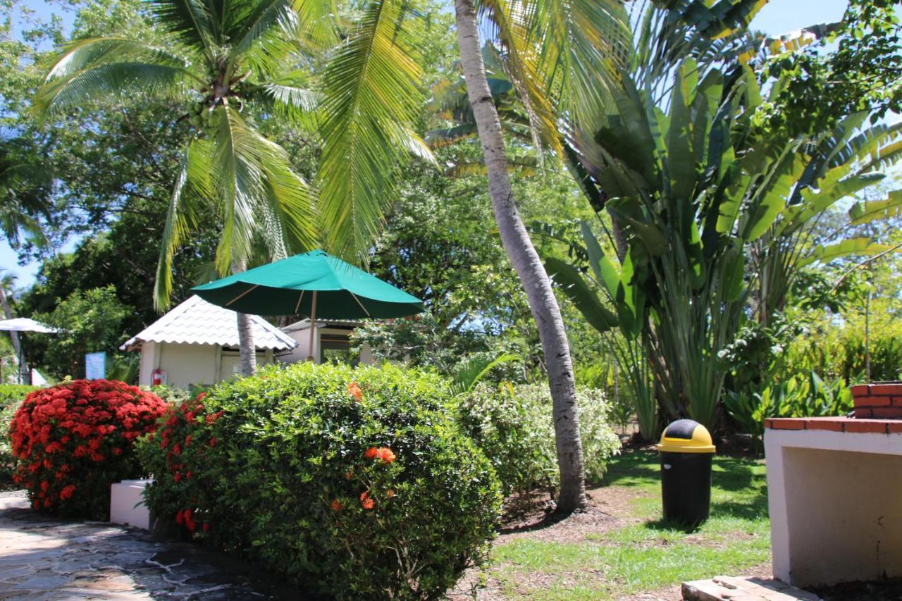 Апартаменты Tropical Bliss Pool Wi-Fi Bbq Near Quepos Manuel Antonio Экстерьер фото